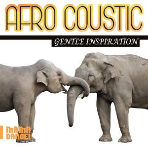 MDML147 - Afro Coustic - Gentle Inspiration_Logo (600 x 600)