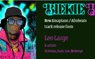 Leo Large: Amapiano, Afrobeats, Gqom and Rap
